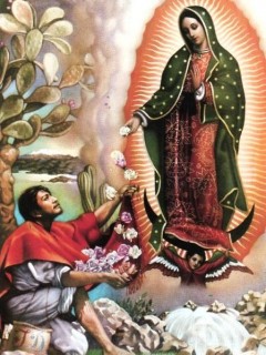 4-28, Our Lady of Guadalupe